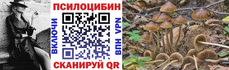 Псилоцибиновые грибы GOLDEN TEACHER  Ливны 