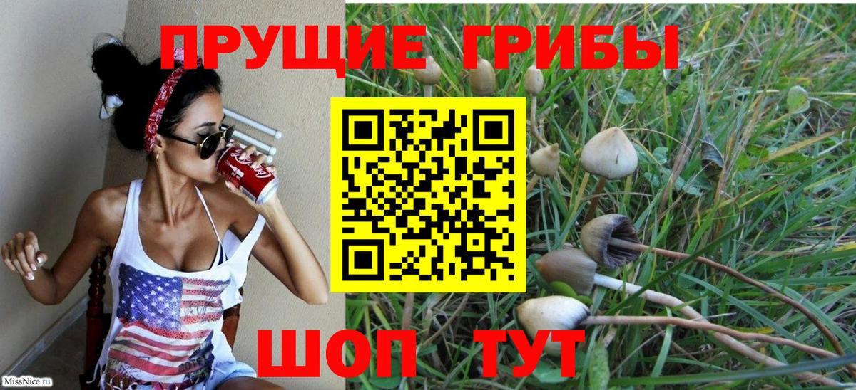 Псилоцибиновые грибы GOLDEN TEACHER Ливны