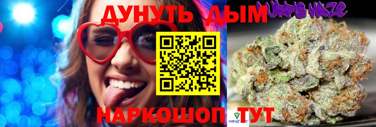 Бошки Шишки семена Ливны